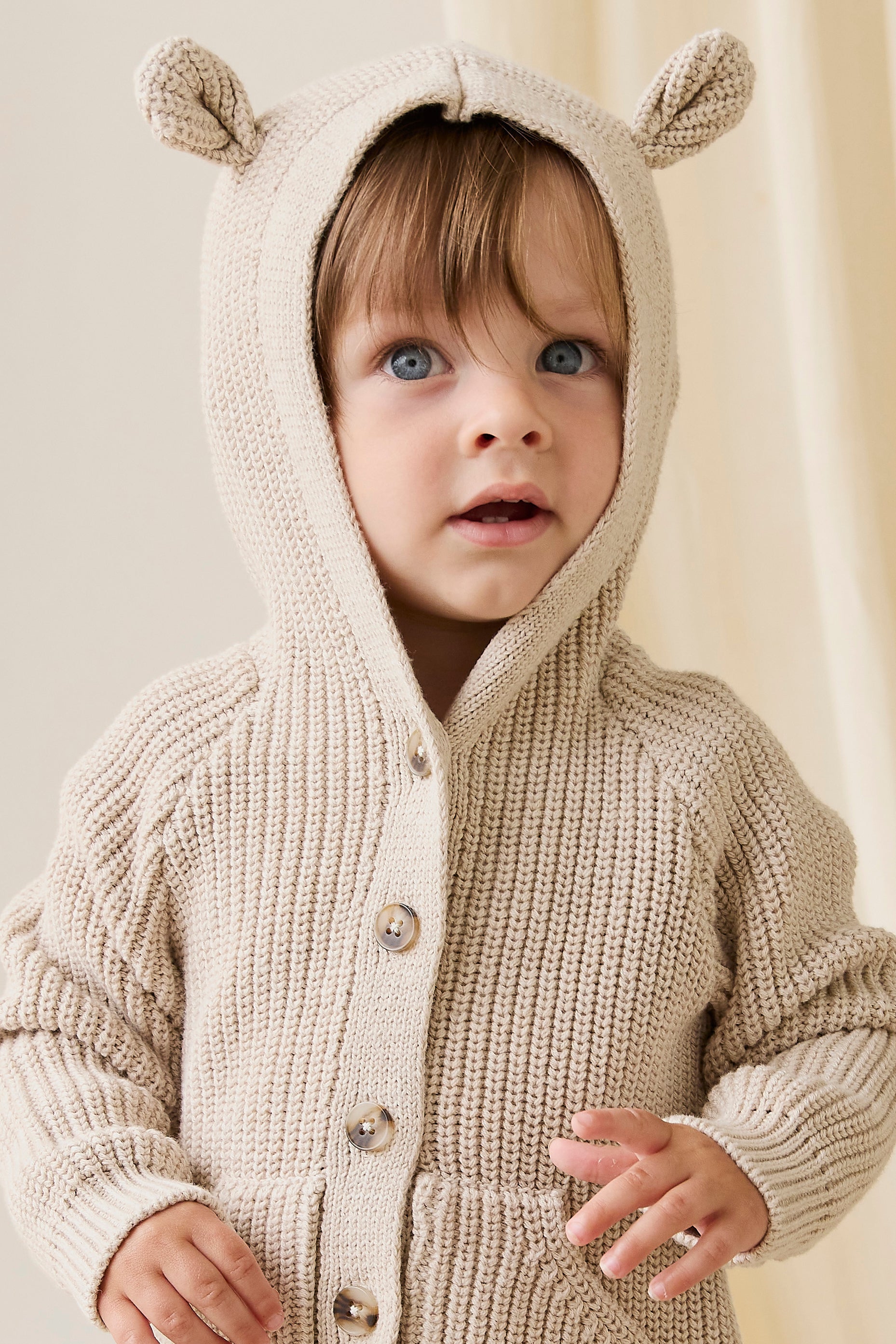 Gilet en Coton Tricoté Classique à Capuche et Boutonné en Avoine pour Bébés et Petits Garçons 0-5 Ans
