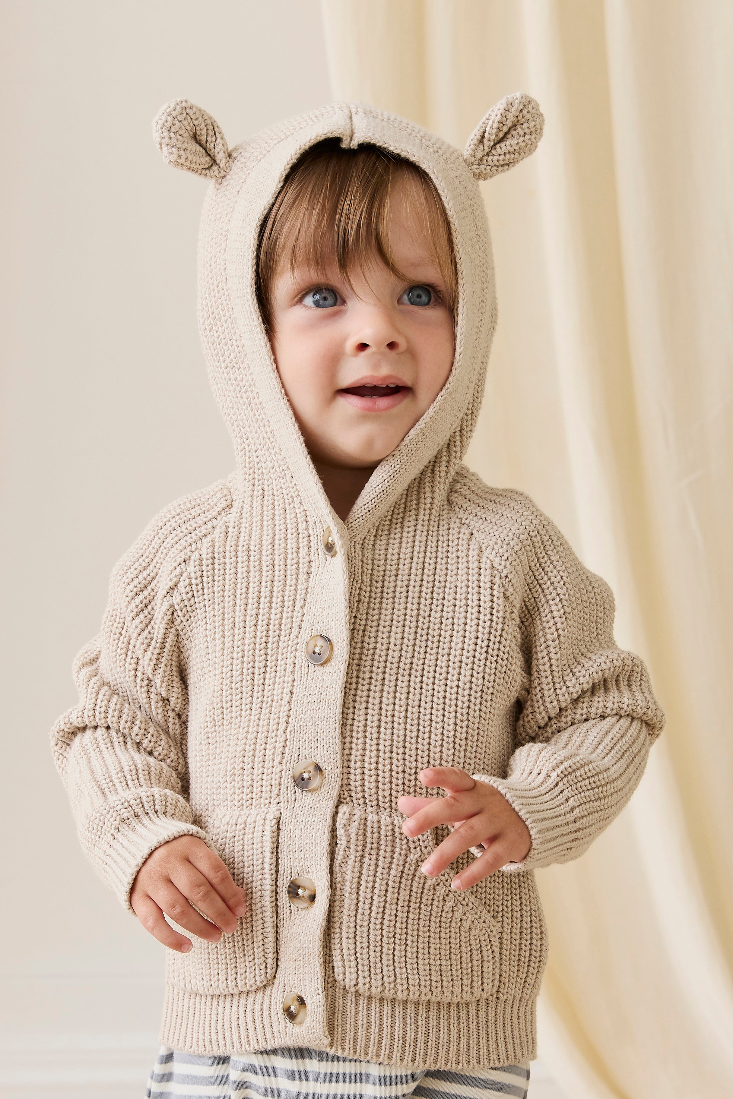 Gilet en Coton Tricoté Classique à Capuche et Boutonné en Avoine pour Bébés et Petits Garçons 0-5 Ans