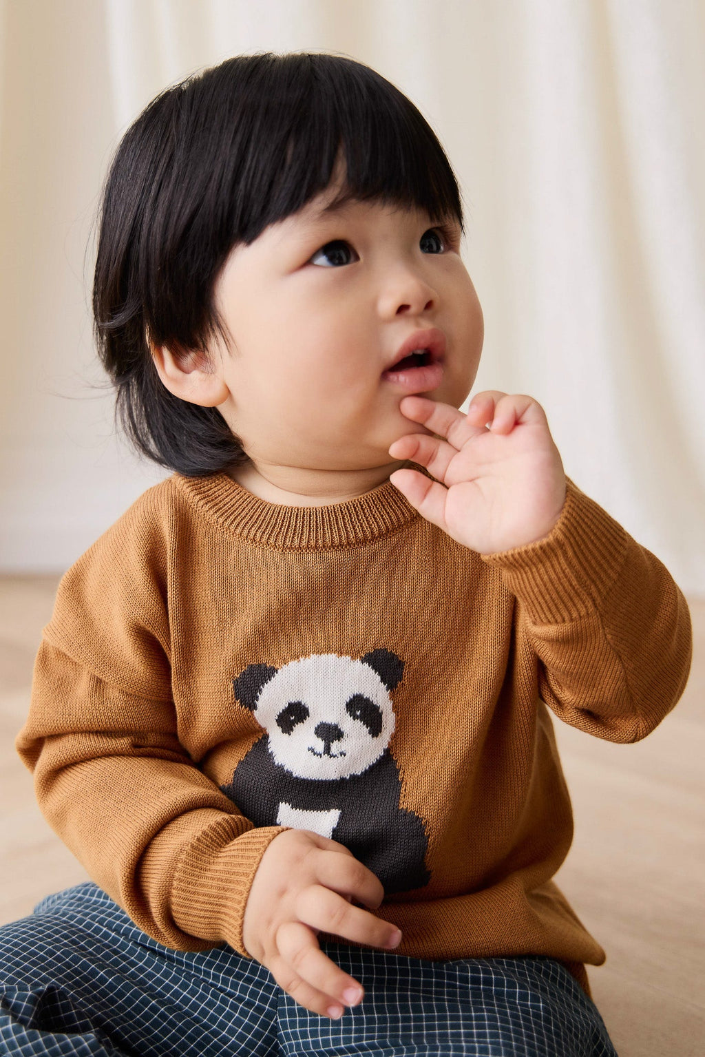 Pull en maille de coton à motif suédé douillet avec ourlet côtelé pour bébés et tout-petits garçons 6 mois-2 ans