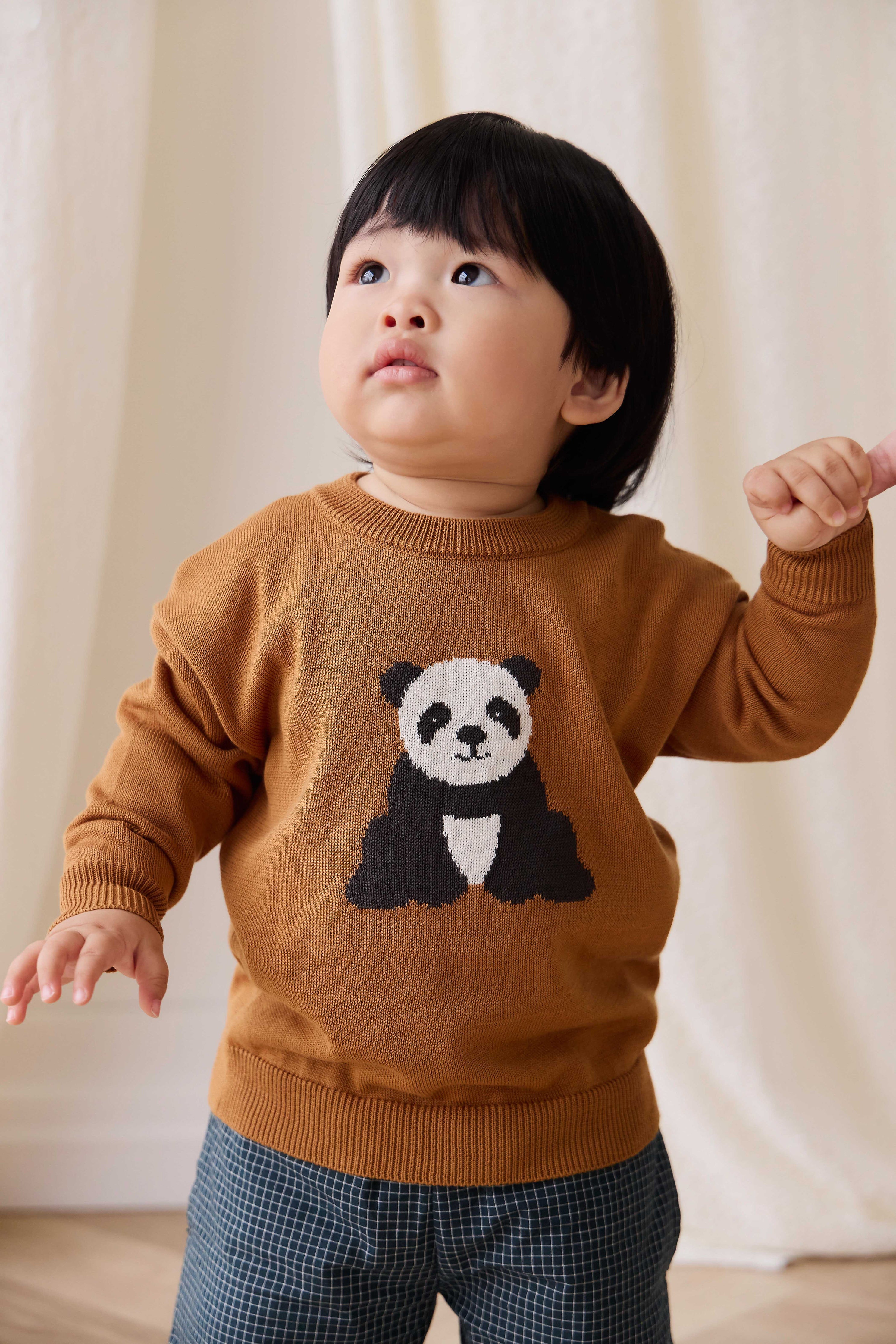 Pull en maille de coton à motif suédé douillet avec ourlet côtelé pour bébés et tout-petits garçons 6 mois-2 ans