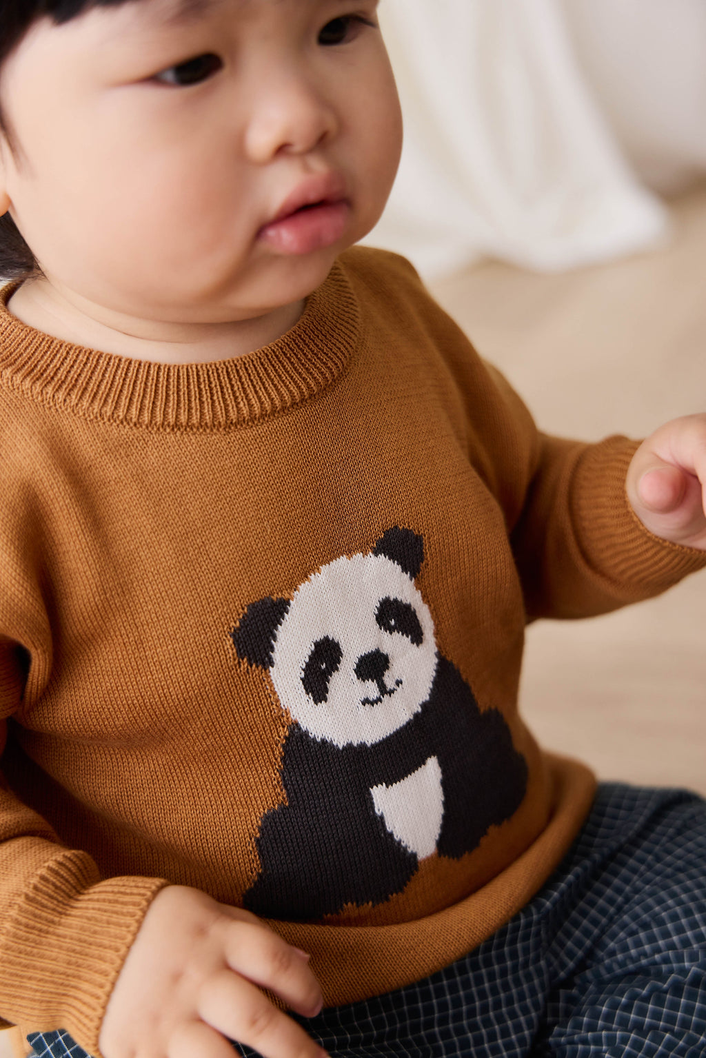 Pull en maille de coton à motif suédé douillet avec ourlet côtelé pour bébés et tout-petits garçons 6 mois-2 ans