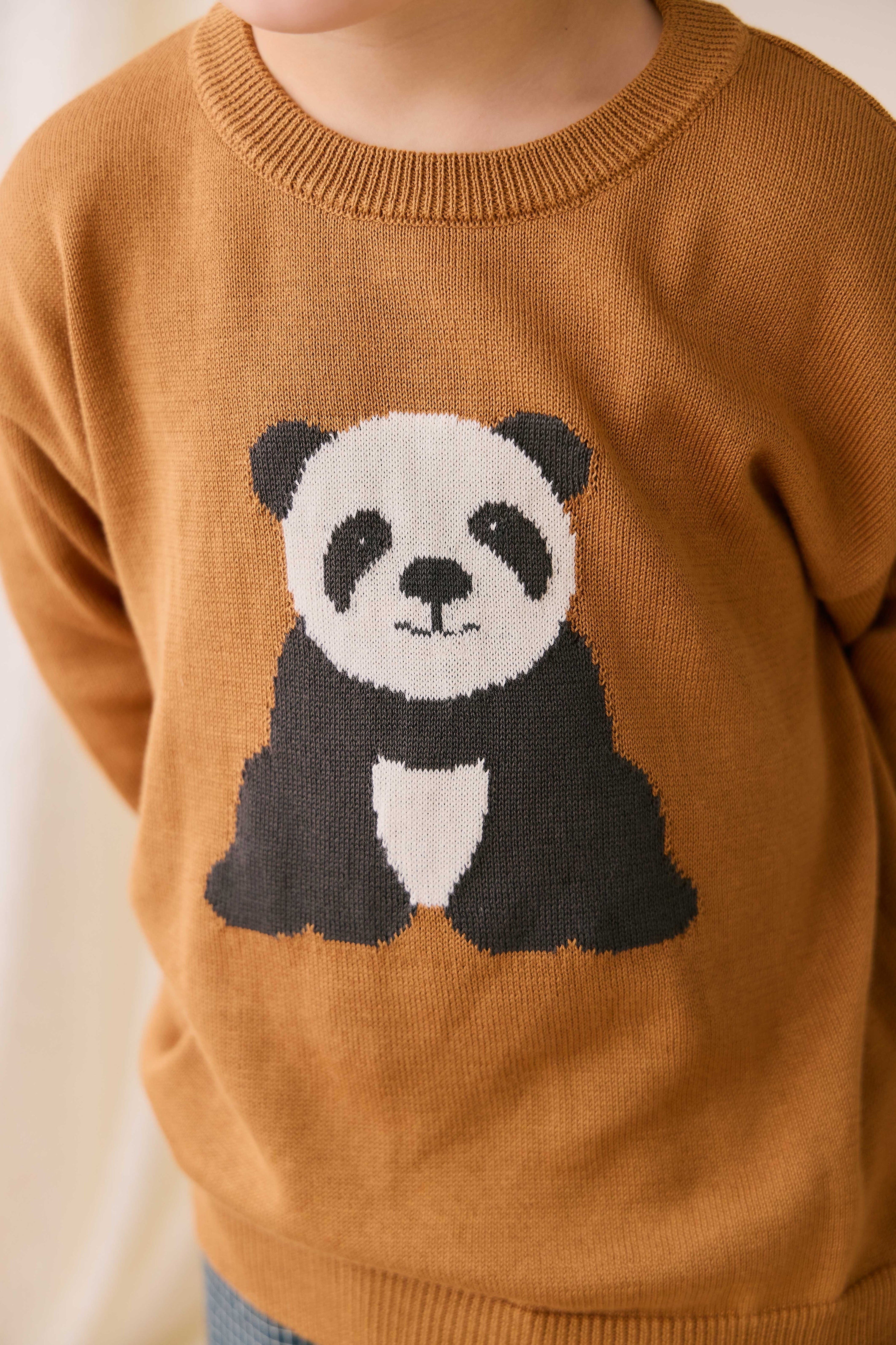 Pull en maille de coton à motif suédé douillet avec ourlet côtelé pour bébés et tout-petits garçons 6 mois-2 ans
